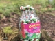 Watermeloen Lolly (1+1 gratis)