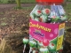 Watermeloen Lolly (1+1 gratis)